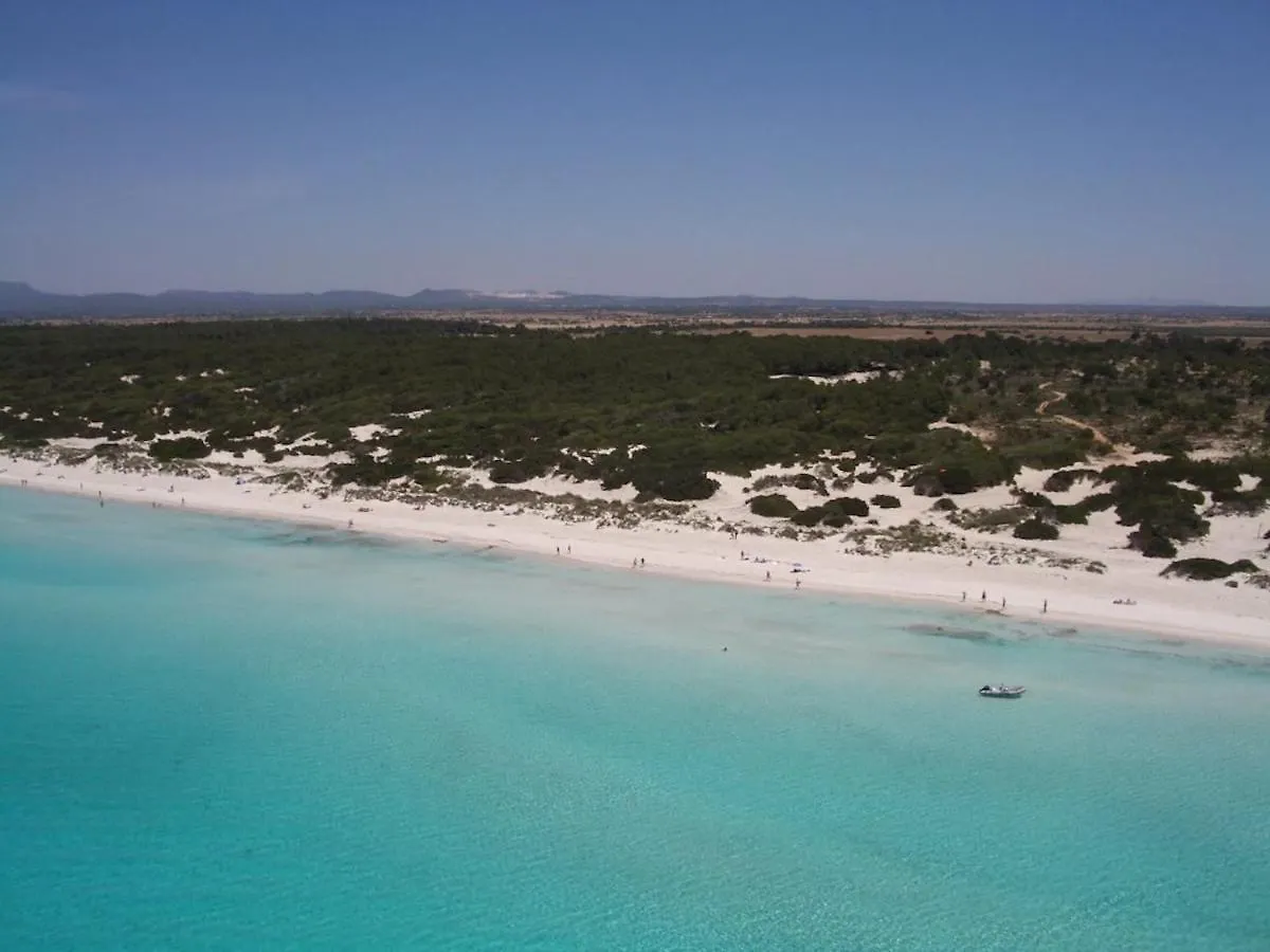 Beachfront Apartment Migjorn Playa By Sealand Villas Colonia de Sant Jordi Spain